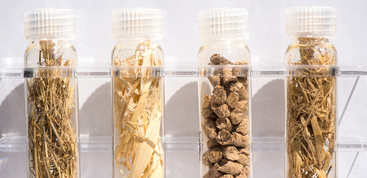 analysis-51864 Four clear glass vials with plastic stoppers containing brown, dried plant materials.