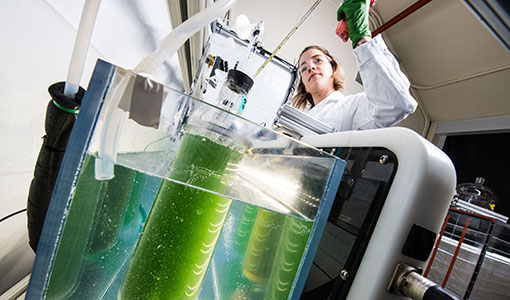 hp-fuels-chemicals-60842 One researcher working on equipment in a lab.