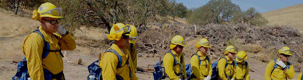 resilience-2-planning A group of firefighters in the forest listen to instructions
