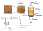 Illustration of combustor and schematic of test loop