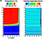 Two outputs from simulations: left rectangle shows temperature profile, with red at top and blue below; right rectangle shows velocity magnitude profile.